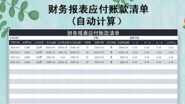 财务报表应付账款清单