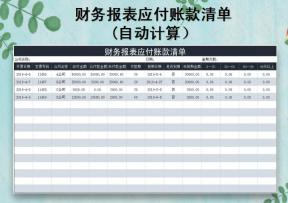 财务报表应付账款清单