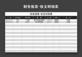 财务报表收支明细表