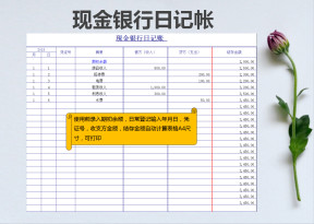 现金银行日记账
