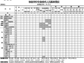 事业单位技术人员基本情况表