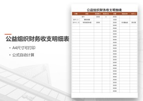公益组织财务收支明细表