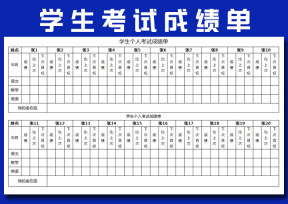 学生个人成绩单
