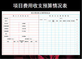 项目费用收支预算情况表
