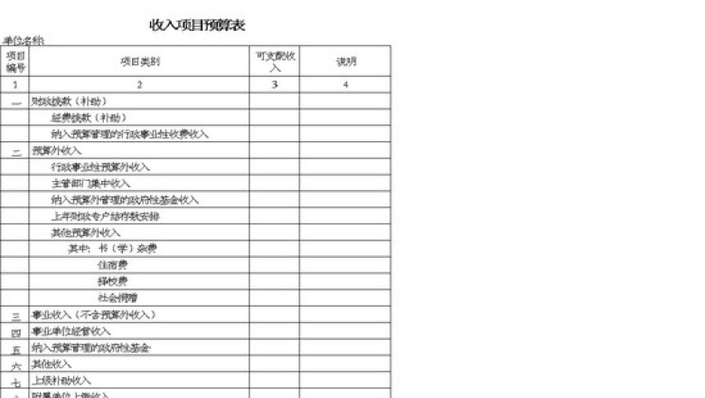 收入项目预算表