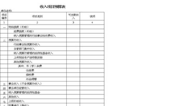 收入项目预算表