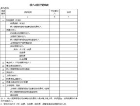 收入项目预算表