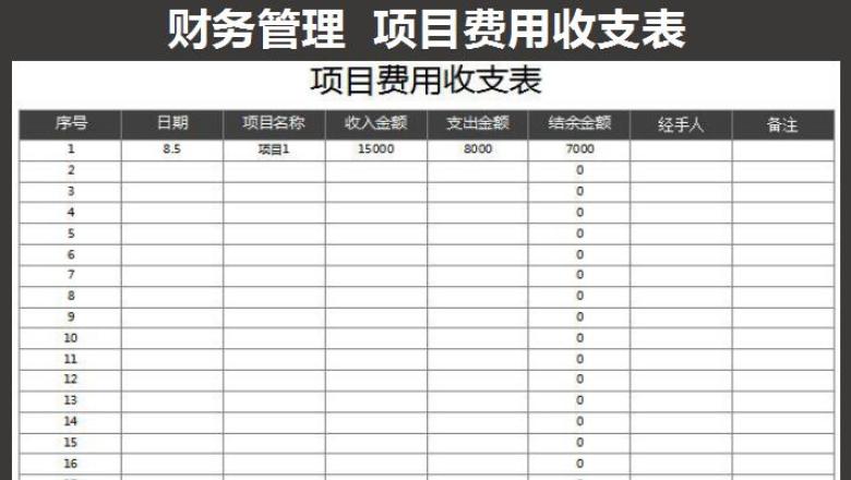 项目费用收支表