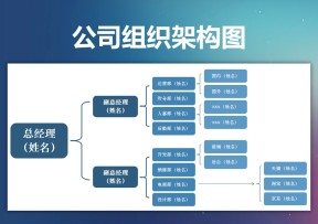 公司组织架构图