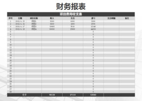 项目费用收支表