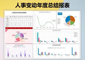 人事变动年度报表（图形图表）