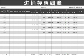 进 销 存 明 细 账(自动计算）