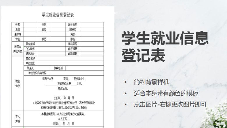 学生就业信息登记表