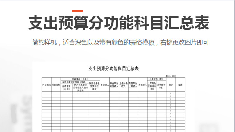 支出预算分功能科目汇总表