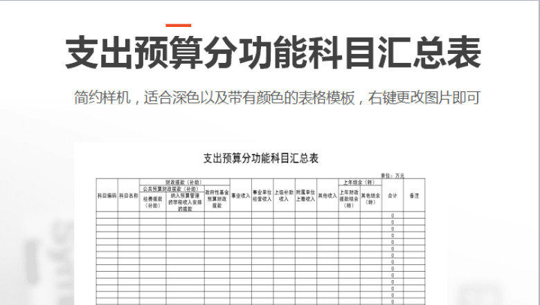 支出预算分功能科目汇总表
