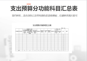 支出预算分功能科目汇总表