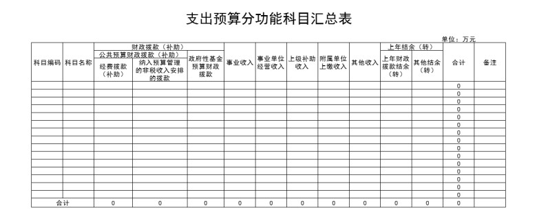支出预算分功能科目汇总表