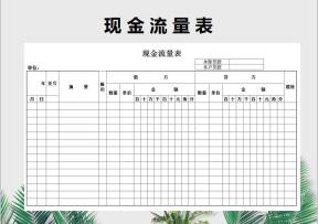 现金流量表