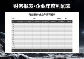 财务报表·企业年度利润表