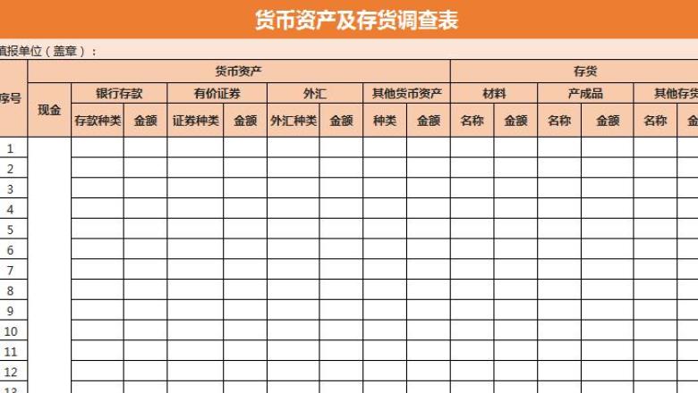 货币资产及存货调查表