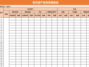 货币资产及存货调查表