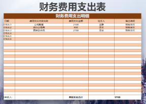 财务报表，费用支出表