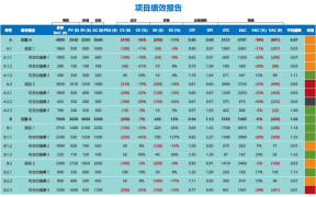 项目绩效报告