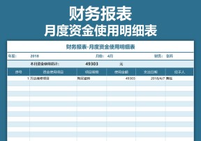 财务报表-月度资金使用明细表