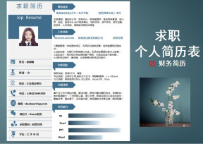 求职个人简历表