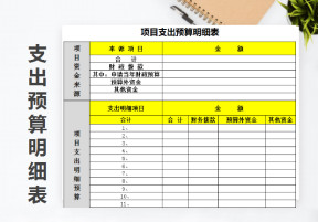项目支出预算明细表