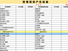 管理用财务报表 比率分析（可自动计算）