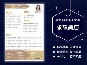 高级求职表格简历（A4大小）