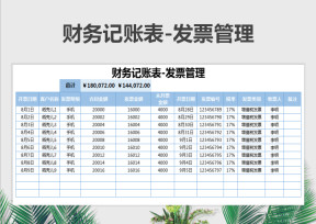 财务记账表-发票管理