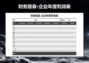 财务报表·企业年度利润表