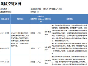 预算执行分析