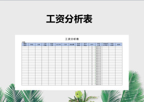 工资分析表