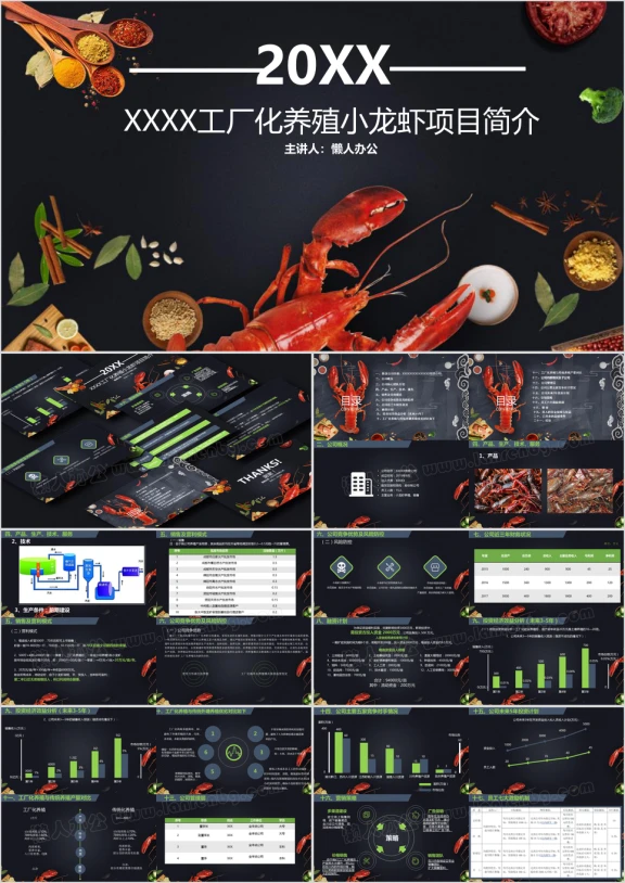 工厂化养殖小龙虾产品项目简介ppt