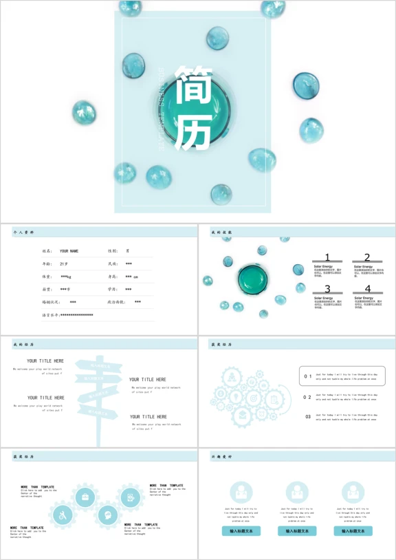 全框架简历蓝色淡雅唯美个性全框架简历述职模板ppt
