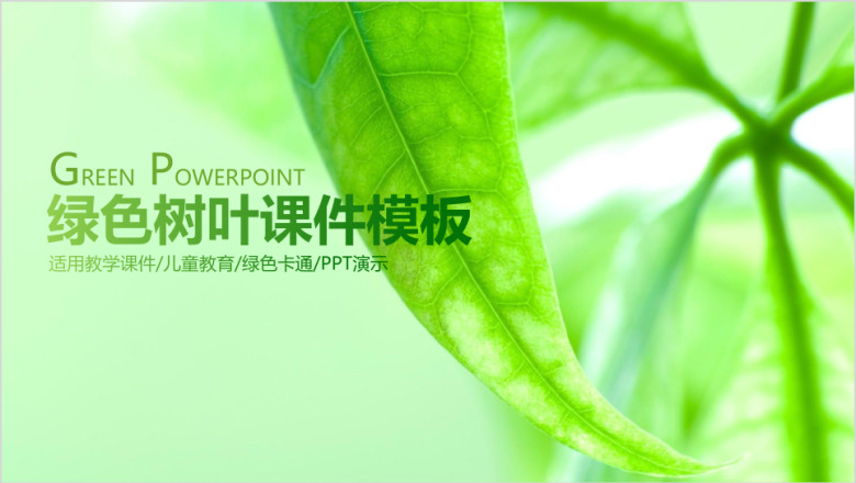 绿色树叶教育教学课件总结汇报ppt