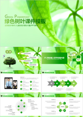 绿色树叶教育教学课件总结汇报ppt