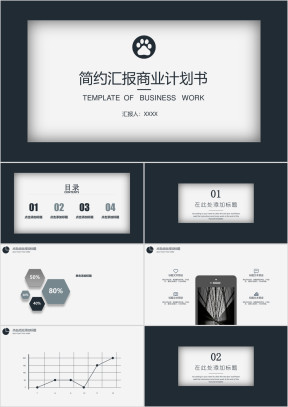 简约商业计划总结模板ppt