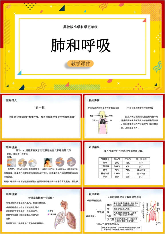 小学科学苏教版五年级全册《4