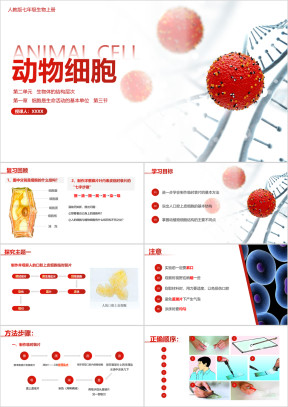 初中生物人教版七年级上册《动物细胞》教育教学课件