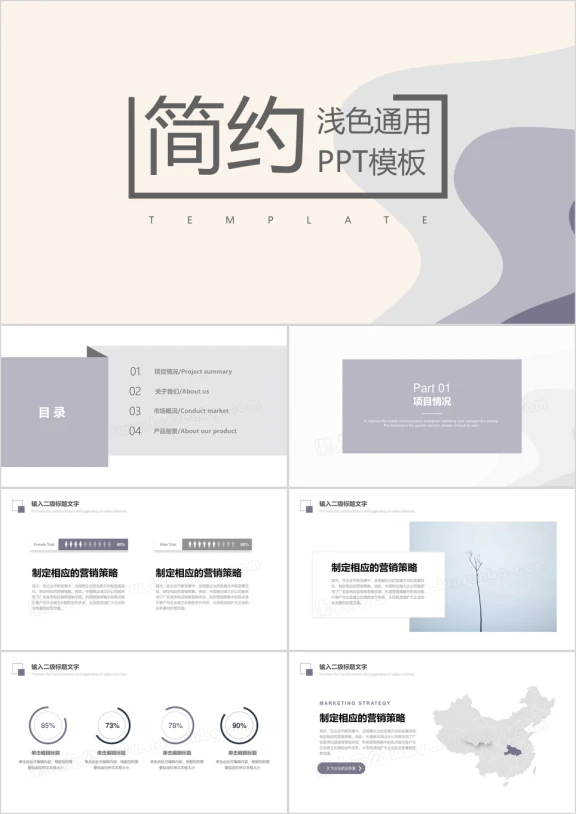 浅色简约汇报清新总结ppt