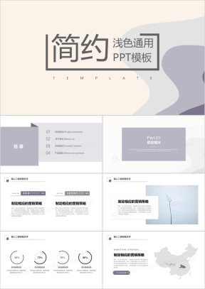 浅色简约汇报清新总结ppt