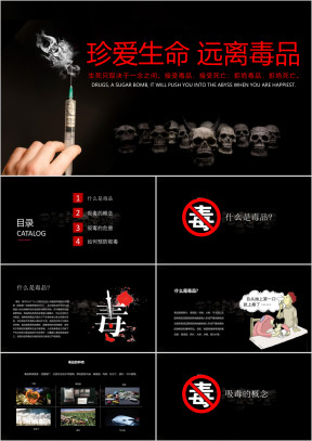 禁毒宣传演讲教育ppt模板