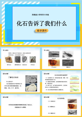 小学科学苏教版六年级全册《3