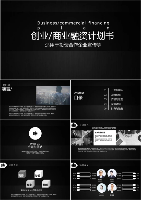 商务融资创业计划书ppt