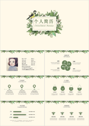 创意手绘花鸟个人应聘简历ppt模板