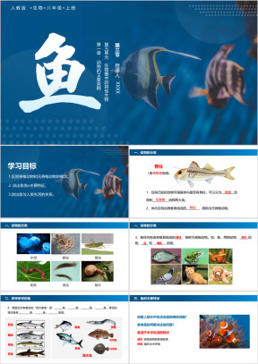 初中生物人教版八年级上册《鱼》教育教学课件